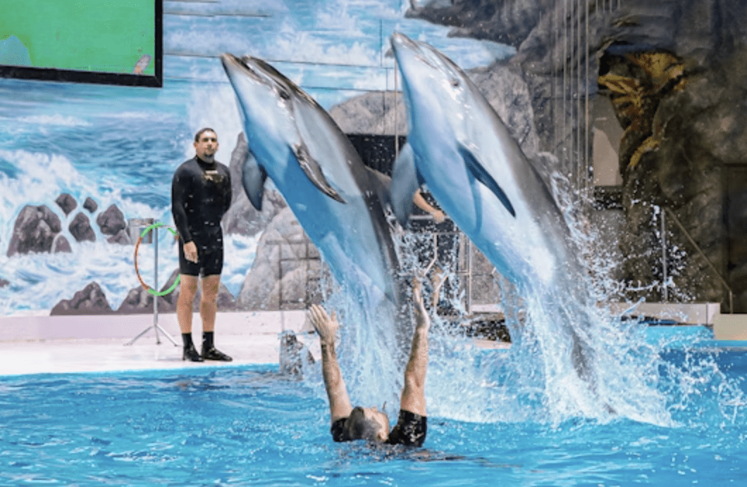 Dubai Dolphinarium